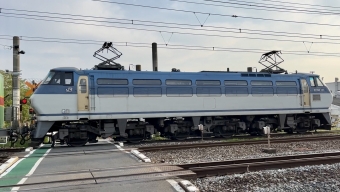 JR貨物 国鉄EF66形電気機関車 鉄道フォト・写真 by ブースターさん 茅ケ崎駅：2022年04月21日06時ごろ