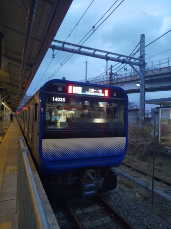 JR東日本E235系電車 鉄道フォト・写真 by Koutaさん 横須賀駅：2021年01月06日16時ごろ