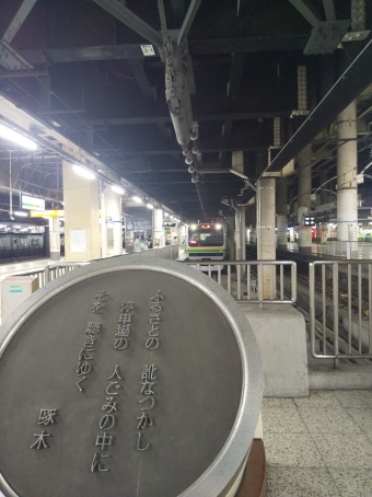 JR東日本E231系電車 鉄道フォト・写真 by Koutaさん 上野駅 (JR)：2021年02月15日12時ごろ