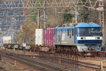 JR貨物 EF210形 EF210-8 鉄道フォト・写真 by 神 宮 前さん 山科駅 (JR)：2022年03月13日10時ごろ