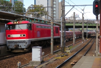 JR貨物 EF510形 EF510-1 鉄道フォト・写真 by 神 宮 前さん 金山駅 (愛知県|JR)：2022年04月01日11時ごろ