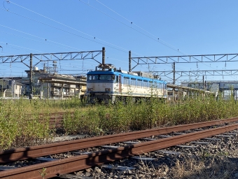 JR貨物 国鉄EF81形電気機関車 鉄道フォト・写真 by ノアさん 南延岡駅：2021年10月06日15時ごろ