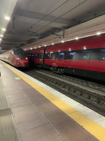 トレニタリア Italo 鉄道フォト・写真 by chocolatさん ：2021年08月14日14時ごろ