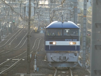 JR貨物 EF210形 EF210-338 鉄道フォト・写真 by 伝票鉄さん 西宮駅 (JR)：2021年10月27日16時ごろ