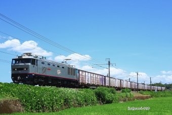 JR貨物 EF510形 EF510-301 鉄道フォト・写真 by katsumi t90さん ：2022年08月02日11時ごろ