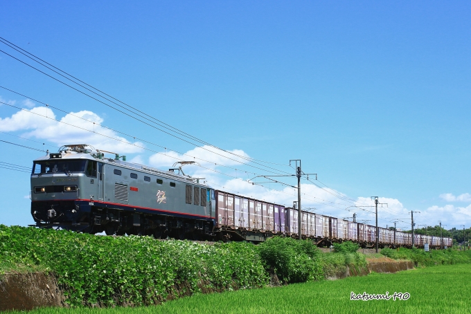 鉄道フォト・写真：JR貨物 EF510形電気機関車 EF510-301 西里 鉄道フォト・写真 by katsumi t90さん - 撮影日 2022/08/02 11:17