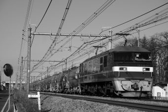 JR貨物 EF210形 EF210-311 鉄道フォト・写真 by tanuさん 籠原駅：2022年01月16日09時ごろ