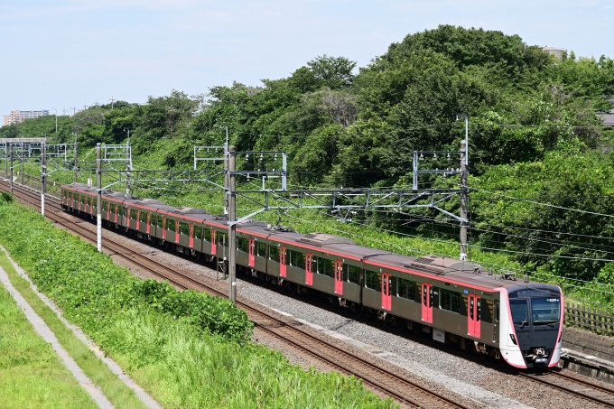 鉄道フォト・写真：東京都交通局5500形電車 5525-8 白井駅 鉄道フォト・写真 by tanuさん - 撮影日 2024/07/20 10:16