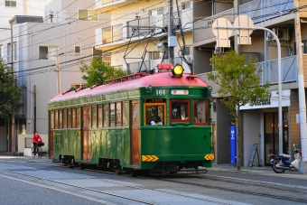 阪堺電気軌道モ161形電車 鉄道フォト・写真 by 直角カルダンさん 住吉鳥居前停留場：2019年03月09日15時ごろ