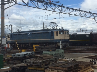 JR貨物 国鉄EF65形電気機関車 EF65-1135 鉄道フォト・写真 by TTK爬虫類TVさん ：2021年09月17日11時ごろ