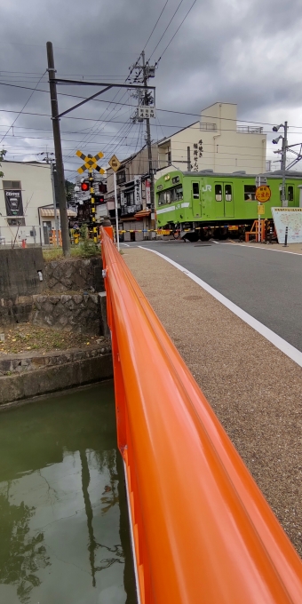 JR西日本 鉄道フォト・写真 by 関西竜団さん 稲荷駅：2021年09月30日12時ごろ