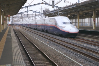 JR東日本 E4系新幹線電車 鉄道フォト・写真 by yumaちゃんさん 熊谷駅 (JR)：2017年09月20日10時ごろ