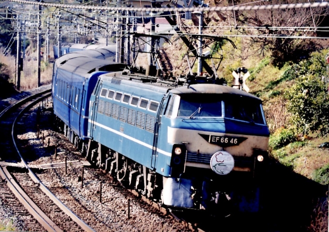 JR東日本 国鉄EF66形電気機関車 さくら はやぶさ 米神踏切付近 鉄道