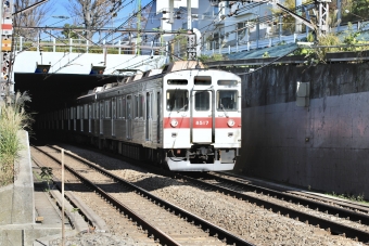 東急電鉄 東急8500系電車 鉄道フォト・写真 by yumaちゃんさん ：2019年12月12日12時ごろ