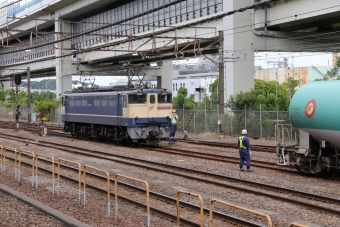 JR貨物 鉄道フォト・写真 by yumaちゃんさん 根岸駅 (神奈川県)：2021年06月02日14時ごろ