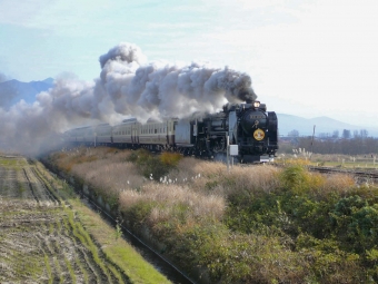 D51ばんえつ物語(快速) 鉄道フォト・写真