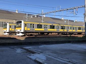 JR東日本E231系電車 鉄道フォト・写真 by yumaちゃんさん ：2020年11月10日10時ごろ