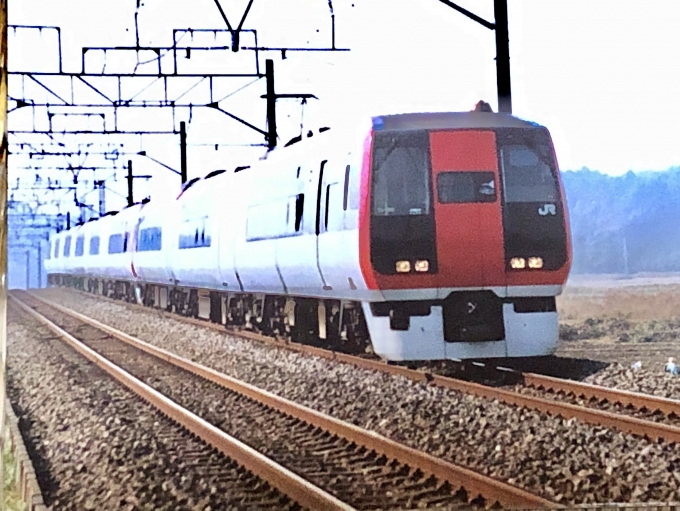 JR東日本253系電車 鉄道フォト・写真 by yumaちゃんさん ：2003年10月01日09時ごろ