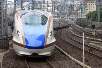 JR東日本 E7・W7系新幹線電車 鉄道フォト・写真 by yumaちゃんさん 東京駅 (JR)：2018年10月16日13時ごろ