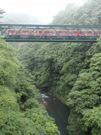 箱根登山鉄道 鉄道フォト・写真 by yumaちゃんさん ：2014年06月28日15時ごろ
