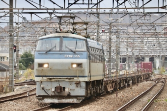 JR貨物 EF66-116 鉄道フォト・写真 by yumaちゃんさん 府中本町駅：2022年11月29日12時ごろ
