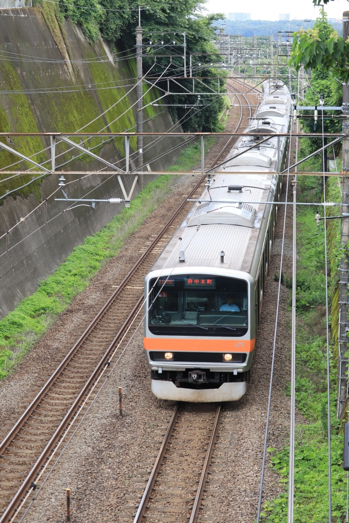 JR東日本E231系電車 鉄道フォト・写真 by yumaちゃんさん ：2024年06月10日13時ごろ