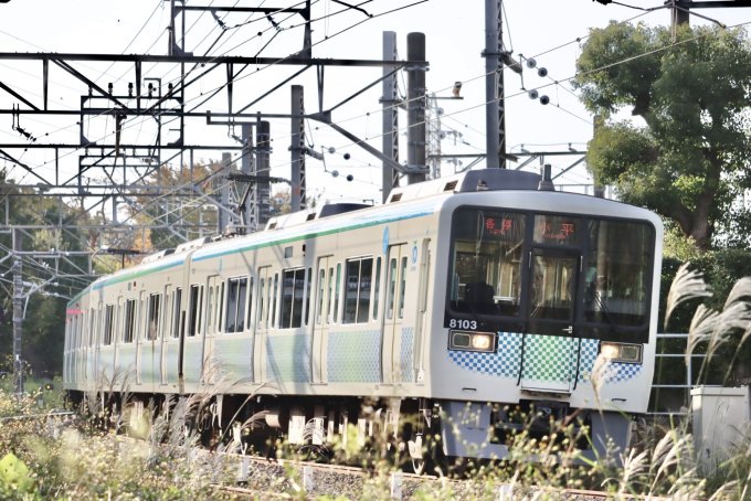 西武鉄道 8103 (西武鉄道8000系) 車両ガイド | レイルラボ(RailLab)