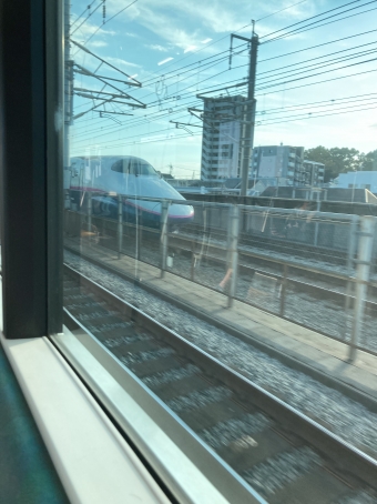 JR東日本 やまびこ(新幹線) 鉄道フォト・写真 by 323系0番台さん ：2021年11月03日15時ごろ