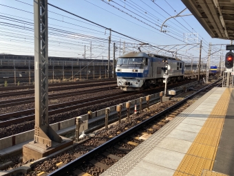 JR貨物 EF210形 EF210-163 鉄道フォト・写真 by にーいちいちさん 栄生駅：2021年12月21日15時ごろ