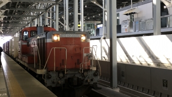JR貨物 国鉄DE10形ディーゼル機関車 DE10-3505 鉄道フォト・写真 by べーたけさん 富山駅 (あいの風とやま鉄道)：2019年04月13日08時ごろ