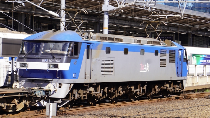 JR貨物EF210形電気機関車 EF210-105 名古屋駅 (JR) 鉄道フォト・写真