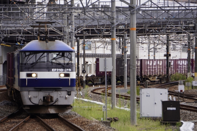 JR貨物 EF210形 EF210-319 鉄道フォト・写真 by べーたけさん 岡山駅：2022年09月08日12時ごろ
