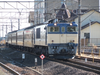 JR東日本 国鉄EF64形電気機関車 EF64-1001 鉄道フォト・写真 by ダクソさん 岡部駅：2021年11月28日10時ごろ