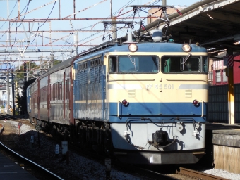 JR東日本 国鉄EF65形電気機関車 EF65-501 鉄道フォト・写真 by ダクソさん 本庄駅：2021年11月28日09時ごろ