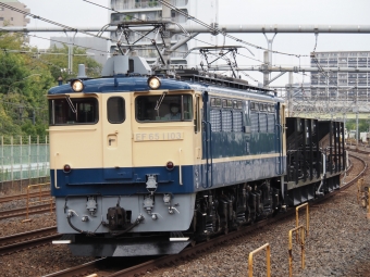 JR東日本 国鉄EF65形電気機関車 EF65-1103 鉄道フォト・写真 by ダクソさん 川口駅：2022年09月14日10時ごろ
