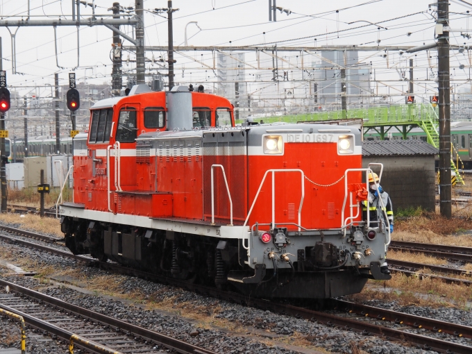 鉄道フォト・写真：JR東日本 国鉄DE10形ディーゼル機関車 DE10-1697 尾久駅 鉄道フォト・写真 by ダクソさん - 撮影日 2022/11/23 11:09