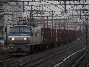 JR貨物 国鉄EF66形電気機関車 EF66-121 鉄道フォト・写真 by ダクソさん 馬橋駅 (JR)：2022年11月23日13時ごろ