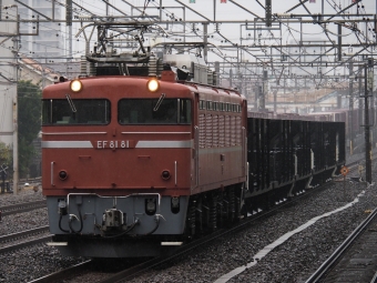 JR東日本 国鉄EF81形電気機関車 EF81-81 鉄道フォト・写真 by ダクソさん 馬橋駅 (JR)：2022年11月23日13時ごろ