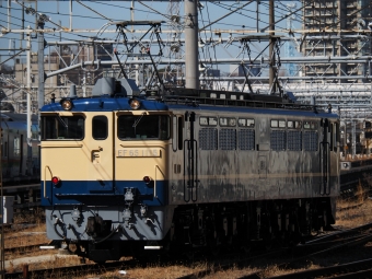 JR東日本 国鉄EF65形電気機関車 EF65-1115 鉄道フォト・写真 by ダクソさん 尾久駅：2023年02月22日10時ごろ