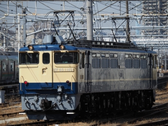 JR東日本 国鉄EF65形電気機関車 EF65-1103 鉄道フォト・写真 by ダクソさん 川口駅：2023年03月08日10時ごろ