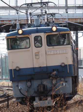 JR西日本 国鉄EF65形電気機関車 EF65-1128 鉄道フォト・写真 by ダクソさん 中庄駅：2023年03月15日13時ごろ