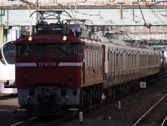 JR東日本 国鉄EF81形電気機関車 EF81-134 鉄道フォト・写真 by ダクソさん 柏駅 (JR)：2023年03月22日15時ごろ