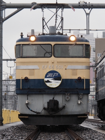 JR東日本 国鉄EF65形電気機関車 EF65-501 鉄道フォト・写真 by ダクソさん 品川駅 (JR)：2023年04月15日11時ごろ