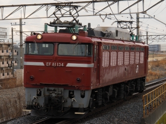 JR東日本 国鉄EF81形電気機関車 EF81-134 鉄道フォト・写真 by ダクソさん 吉川駅：2024年01月23日15時ごろ