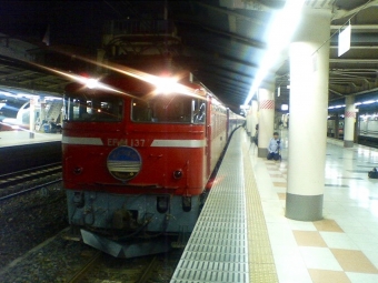 JR東日本 国鉄EF81形電気機関車 あけぼの(特急) EF81 137 鉄道フォト・写真 by おいさん 上野駅 (JR)：2004年10月15日21時ごろ