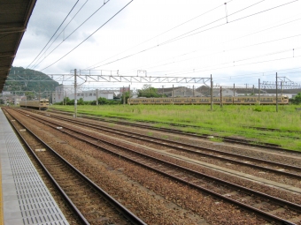 JR西日本 国鉄115系電車 鉄道フォト・写真 by おいさん 糸崎駅：2009年08月13日12時ごろ