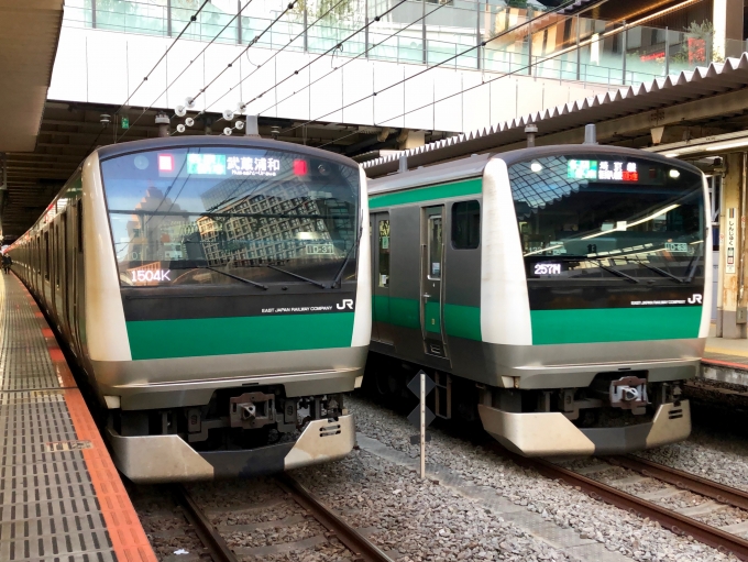 JR東日本 クハE233形 クハE233-7033 鉄道フォト・写真 by おいさん 新宿駅 (JR)：2021年12月24日16時ごろ