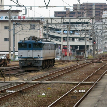 JR貨物 国鉄EF65形電気機関車 EF65 1037 鉄道フォト・写真 by おいさん 松山駅 (愛媛県)：2010年08月13日17時ごろ
