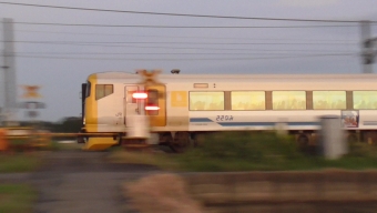 クハE256-501 鉄道フォト・写真