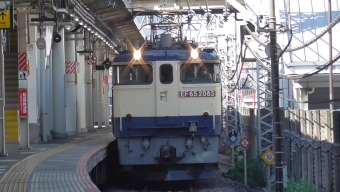 JR貨物 国鉄EF65形電気機関車 EF65-2085 鉄道フォト・写真 by 総武のかいそくさん 千葉駅 (JR)：2022年11月03日11時ごろ
